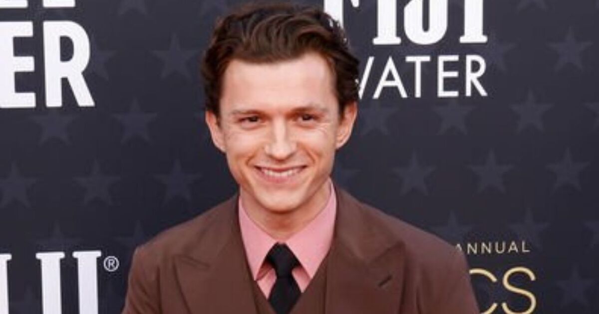 Tom Holland révèle que son prochain rôle au cinéma était « l'appel téléphonique de sa vie » et qu'il ne s'agissait pas de Spider-Man