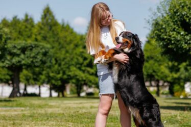 Un dresseur de chiens partage des signes avant-coureurs peu connus vous obligeant à arrêter de toucher votre animal