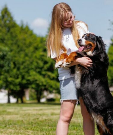 Un dresseur de chiens partage des signes avant-coureurs peu connus vous obligeant à arrêter de toucher votre animal