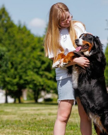 Un dresseur de chiens partage des signes avant-coureurs peu connus vous obligeant à arrêter de toucher votre animal