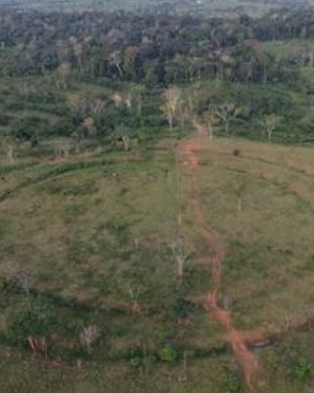 Une énorme avancée archéologique : des « milliers de Stonehenges » découverts cachés en Amazonie