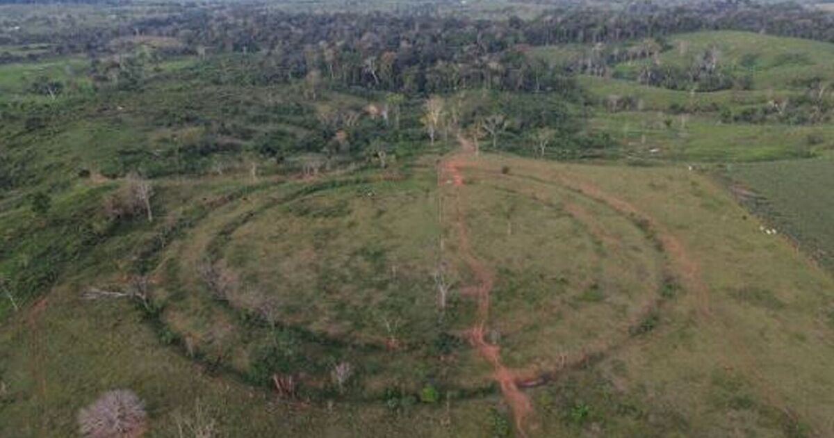 Une énorme avancée archéologique : des « milliers de Stonehenges » découverts cachés en Amazonie