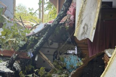 Une grand-mère qui a entendu une « voix » échappe à l'ouragan Hélène quelques minutes avant l'écrasement d'un arbre