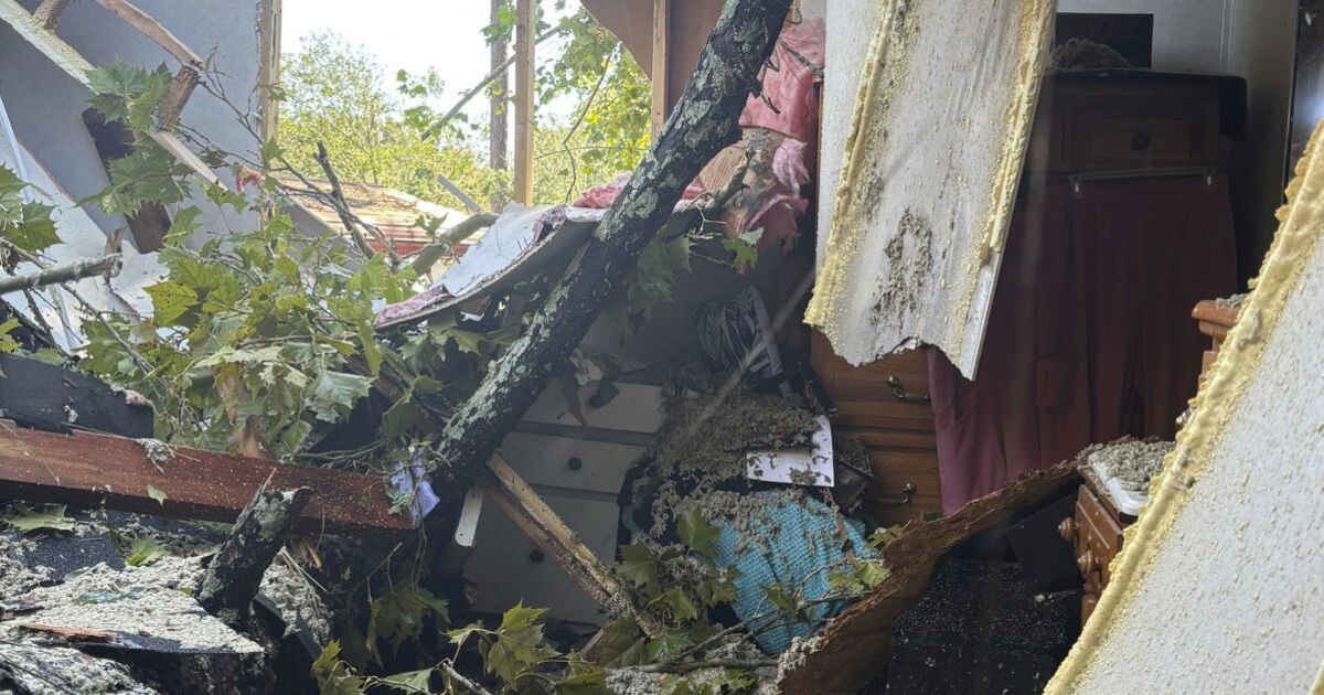 Une grand-mère qui a entendu une « voix » échappe à l'ouragan Hélène quelques minutes avant l'écrasement d'un arbre