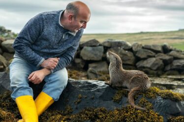 "Je me sentais déprimé – une loutre orpheline a transformé ma vie de manière inattendue"