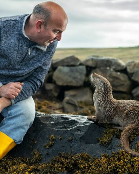 "Je me sentais déprimé – une loutre orpheline a transformé ma vie de manière inattendue"