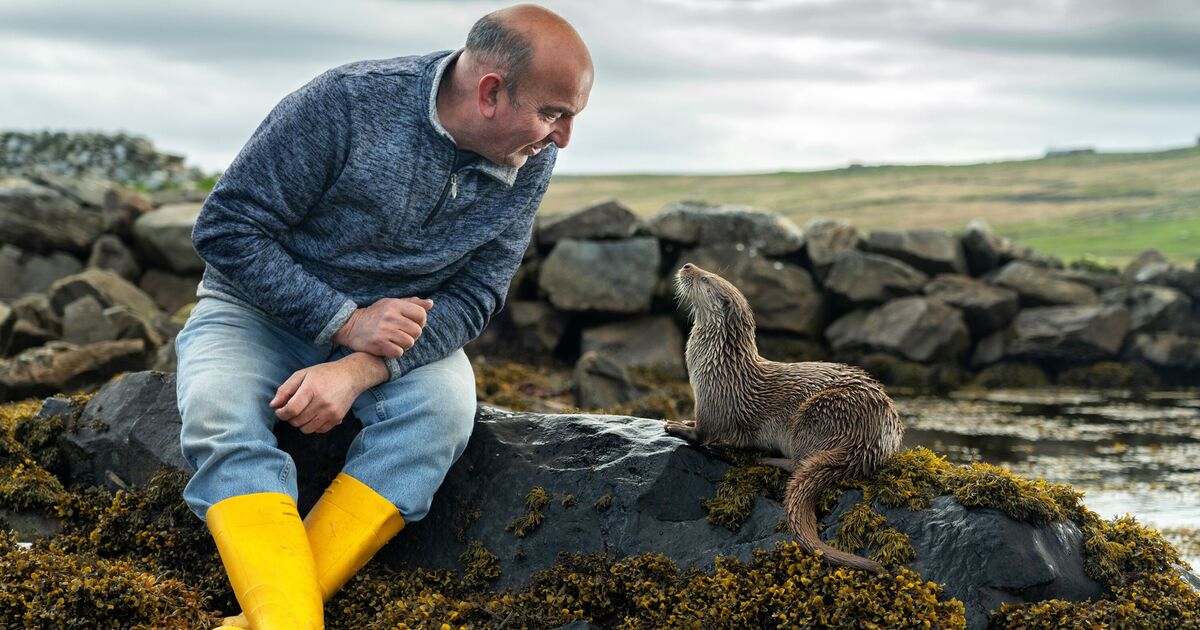 "Je me sentais déprimé – une loutre orpheline a transformé ma vie de manière inattendue"