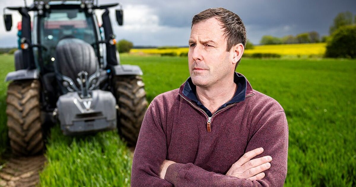 Rachel Reeves a averti qu'une décision « catastrophique » pourrait décimer l'industrie agricole britannique