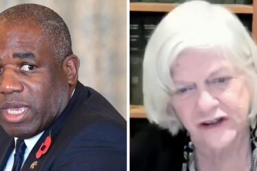 Ann Widdecome fustige David Lammy, "stupide" à propos des attaques de Donald Trump