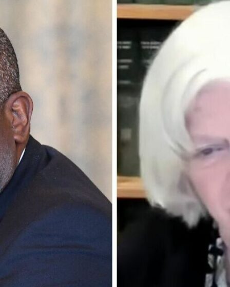 Ann Widdecome fustige David Lammy, "stupide" à propos des attaques de Donald Trump