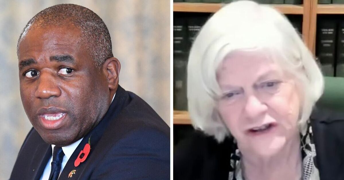 Ann Widdecome fustige David Lammy, "stupide" à propos des attaques de Donald Trump