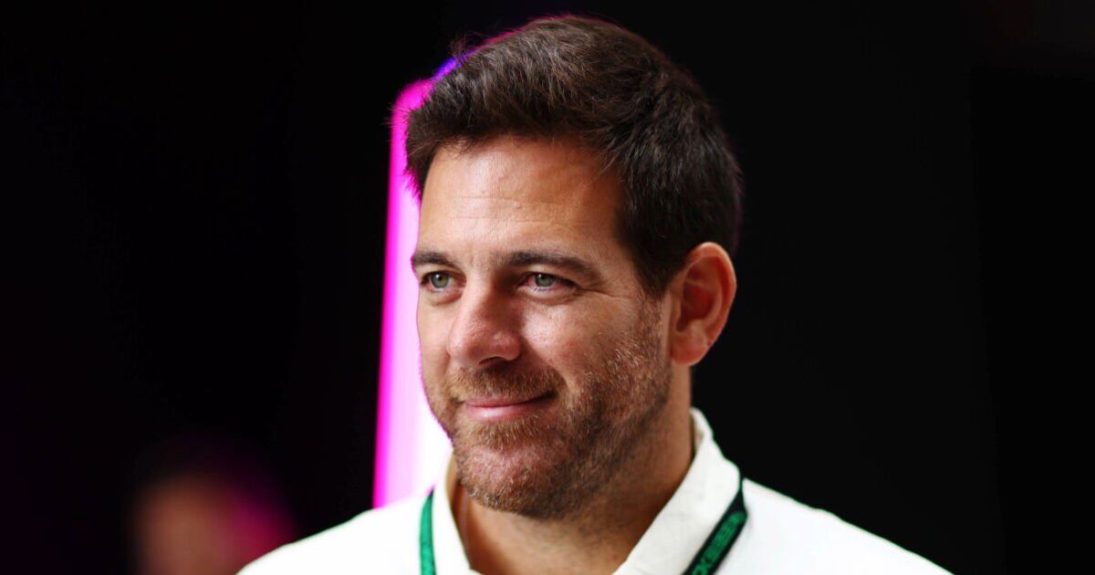 Dans la vie sauvage de Juan Martin del Potro, depuis ses rencontres avec des popstars jusqu'au vol de 24 millions de livres sterling