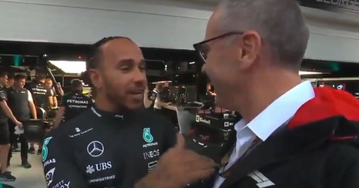 F1 LIVE: La séance du Grand Prix du Brésil arrêtée alors que Lewis Hamilton plaide auprès de la FIA