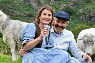 Joie de cisaillement ! Les jeunes mariés se marient au milieu d’un troupeau de moutons