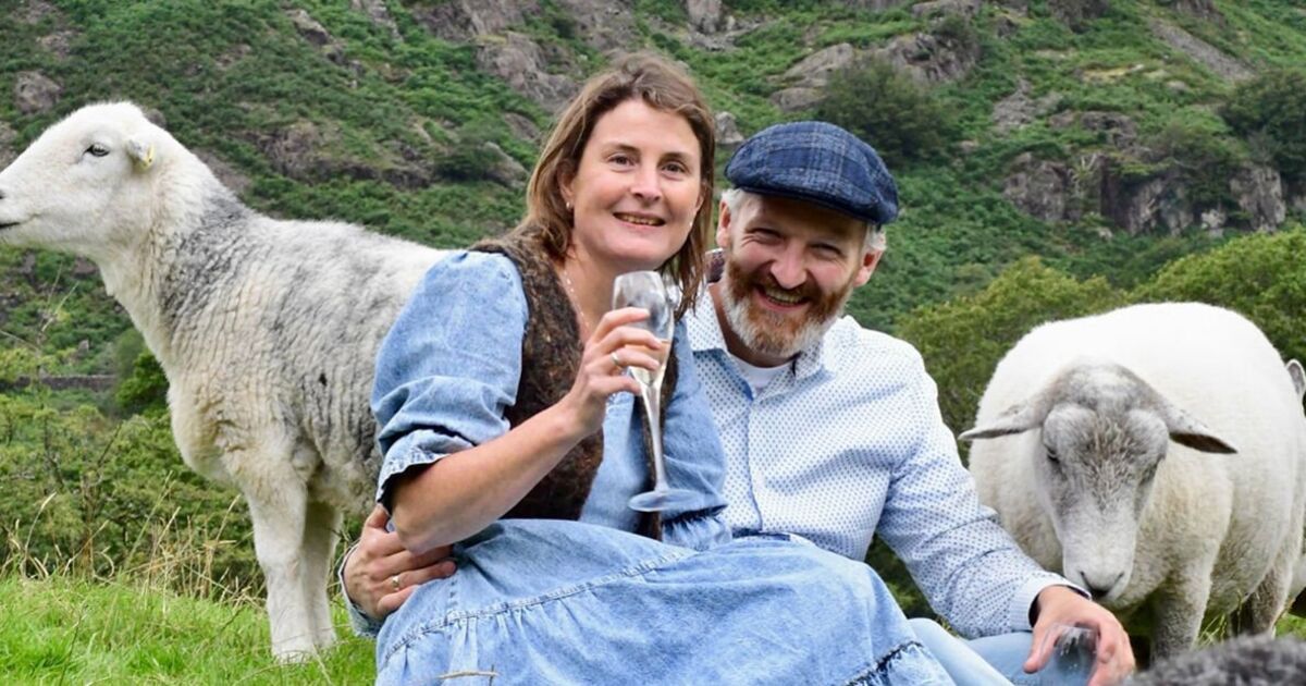 Joie de cisaillement ! Les jeunes mariés se marient au milieu d’un troupeau de moutons