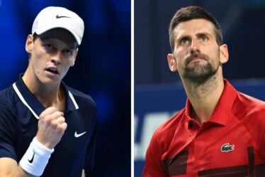 "Novak Djokovic est le GOAT mais je trouve Jannik Sinner plus terrifiant à jouer"