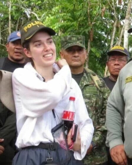 Un touriste perdu survit trois jours dans la jungle amazonienne en consommant deux choses