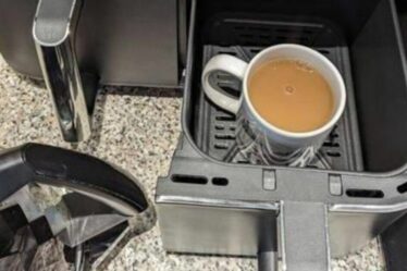 Une tasse de thé « faite dans une friteuse à air » fait dire à tout le monde la même chose