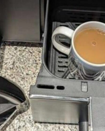 Une tasse de thé « faite dans une friteuse à air » fait dire à tout le monde la même chose