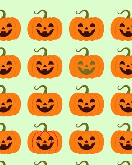 Vous avez une vision de 20/20 si vous parvenez à repérer sept citrouilles sournoises en moins de 49 secondes.