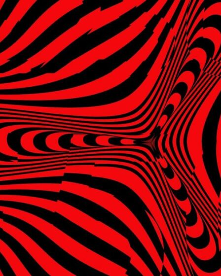 Vous avez une vue incroyable si vous parvenez à repérer l'argent dans cette illusion d'optique