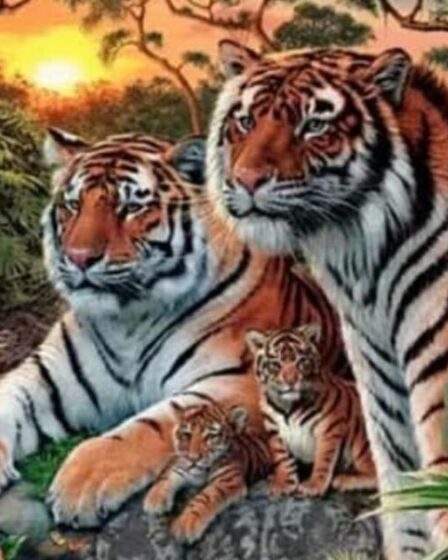 Vous faites partie du top 1 % si vous parvenez à repérer les 16 tigres dans cette illusion d'optique