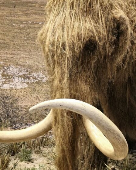 Une technologie pionnière censée inverser le changement climatique et ramener les espèces disparues