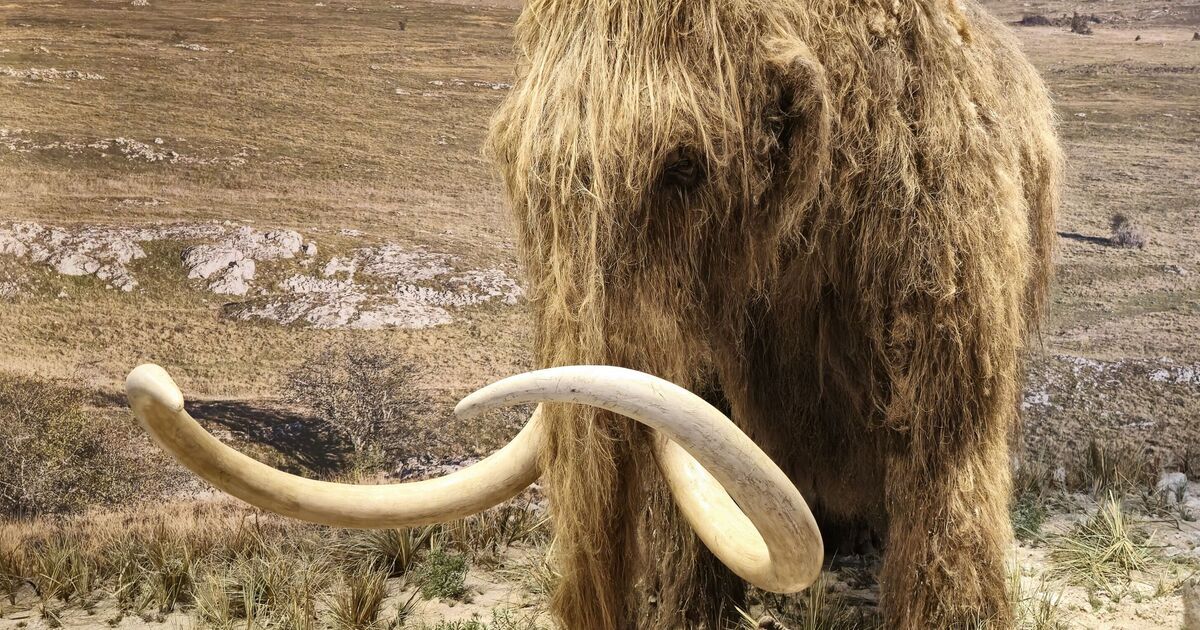 Une technologie pionnière censée inverser le changement climatique et ramener les espèces disparues