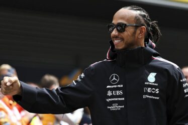 Le garde du corps de Lewis Hamilton a jeté des objets en raison de craintes « assez sombres » que la star soit ciblée