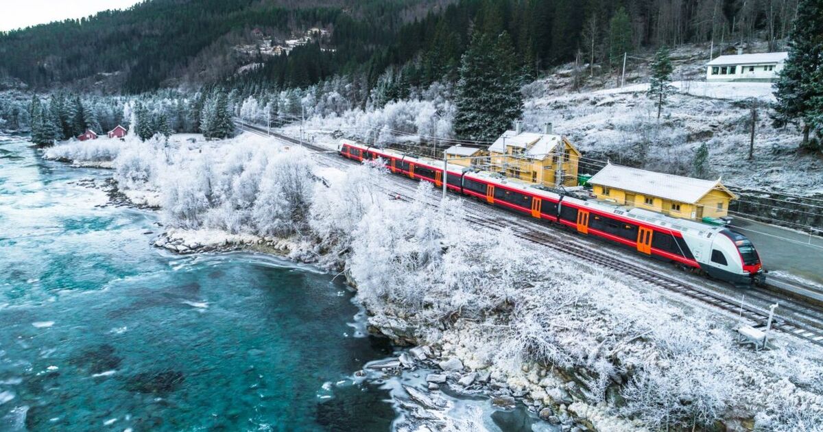 Le magnifique voyage en train européen à travers des forêts et des montagnes enneigées