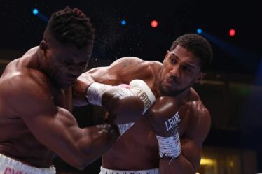 Le prochain adversaire de boxe de Francis Ngannou identifié après le brutal KO d'Anthony Joshua