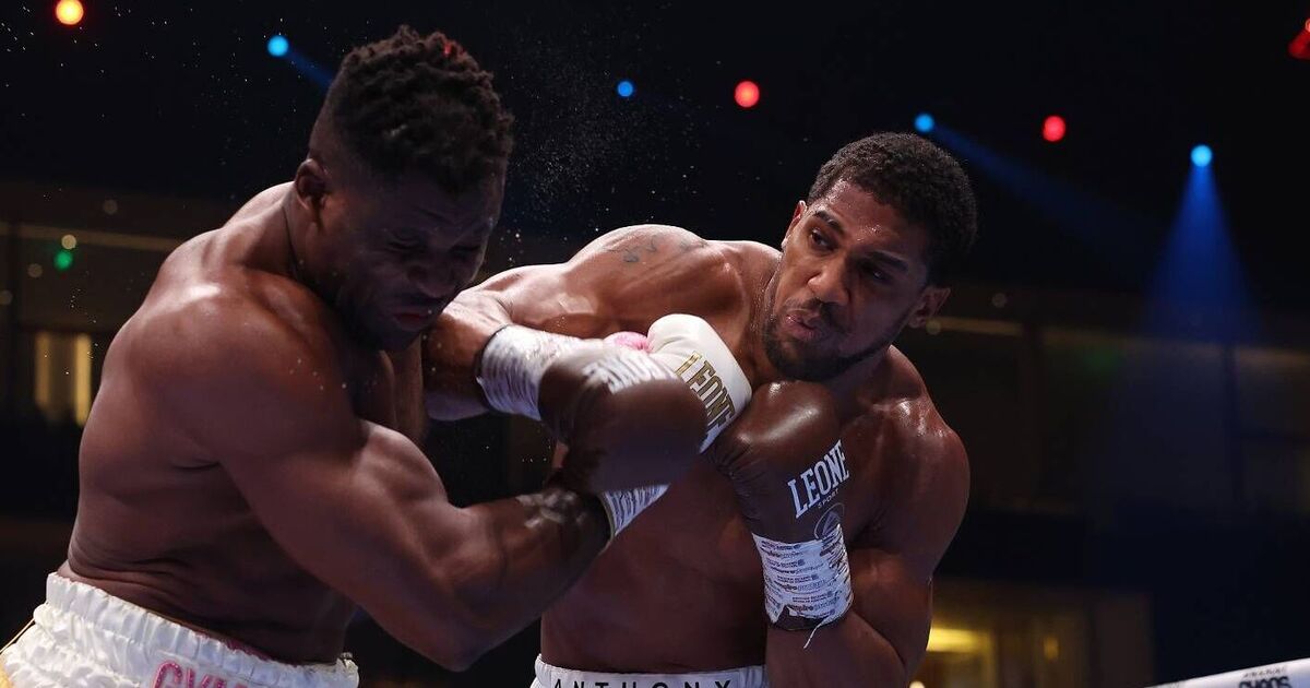 Le prochain adversaire de boxe de Francis Ngannou identifié après le brutal KO d'Anthony Joshua