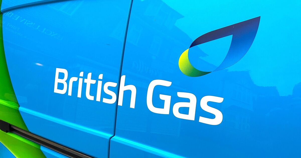 Les clients de British Gas, EON, EDF et Octopus font face à un avertissement de 1 782 £ à partir de janvier