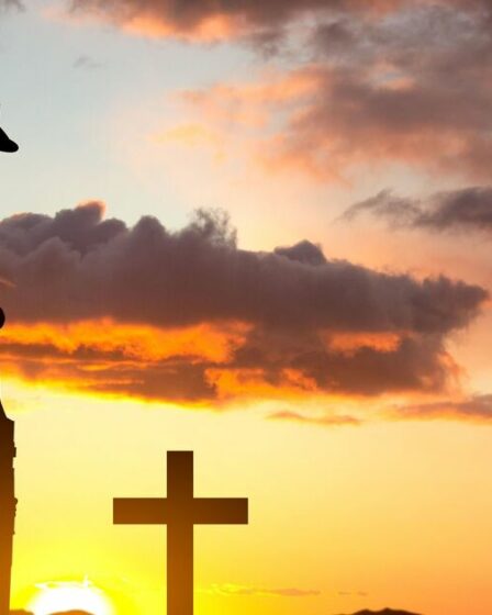 Les passionnés d'histoire trouvent « de loin » le meilleur documentaire sur la Première Guerre mondiale de tous les temps