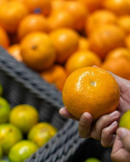 Les sept signes du médecin indiquant qu'il vous manque une vitamine clé qui peut vous fatiguer et en avoir marre