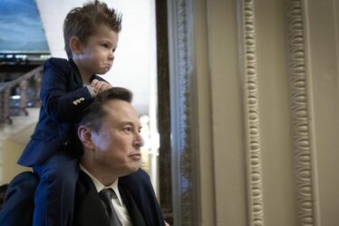 Les travaillistes et les conservateurs représentent une menace encore plus grande que le soutien d’Elon Musk à la réforme.