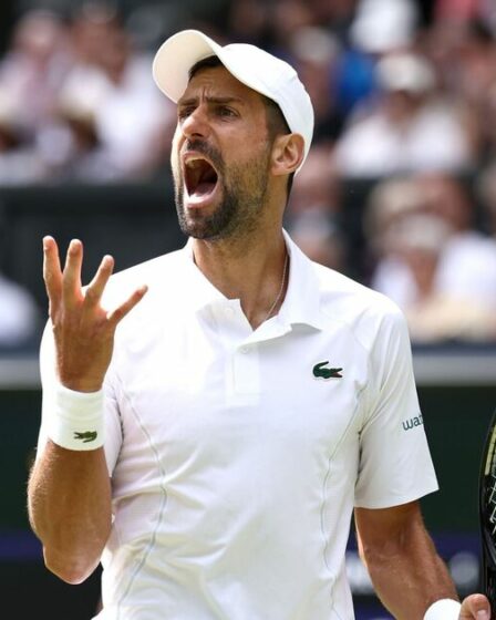 Novak Djokovic « criera et criera après » Andy Murray avec une ex-star du tennis excitée