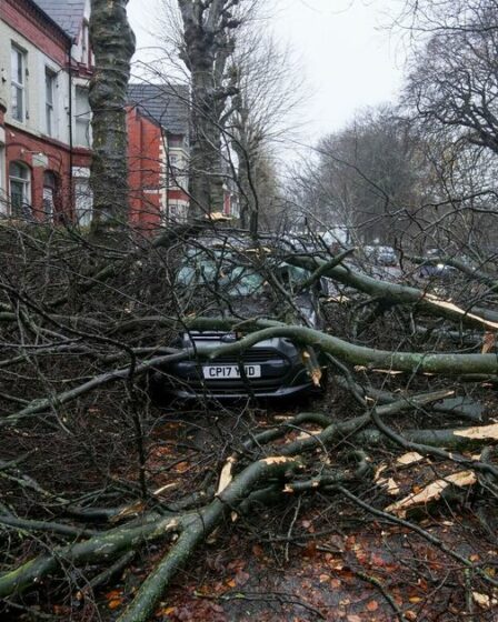 Plus de 200 000 foyers britanniques privés d'électricité après la tempête Darragh