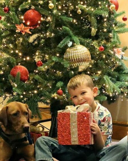 Un garçon autiste peut enfin profiter de Noël grâce au chien « merveille » de son meilleur ami Zeus