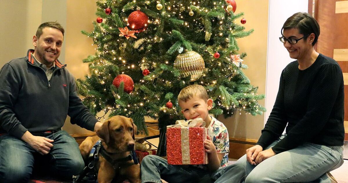 Un garçon autiste peut enfin profiter de Noël grâce au chien « merveille » de son meilleur ami Zeus