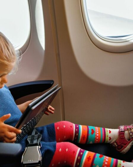 Un passager de l'avion est en colère contre une mère pour une habitude « dégoûtante » – et le pilote prend son parti