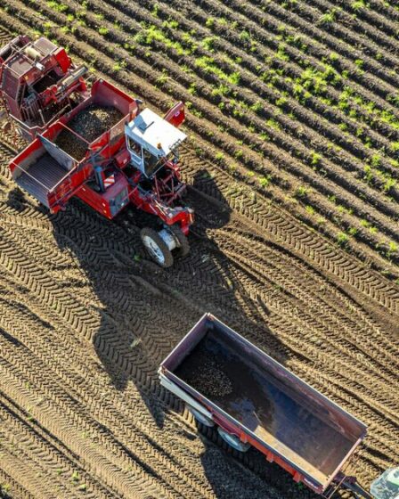 Des chercheurs néerlandais utilisent l'IA et des drones pour prédire la croissance optimale des semences de pommes de terre