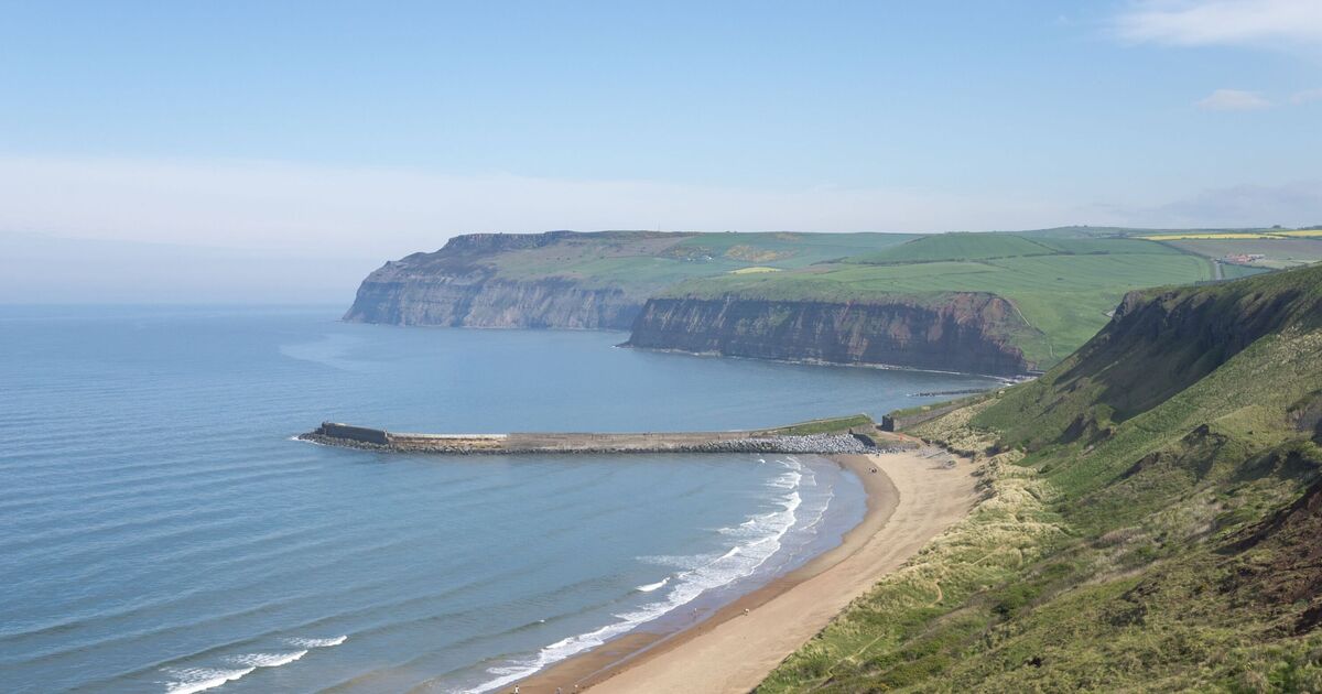 La belle plage du Royaume-Uni est saluée pour sa propreté, avec des observations de dauphins et l'absence de foule.