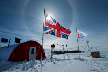 Les scientifiques de l'Antarctique avertissent «nulle part sur terre n'est intact» après une découverte choquante