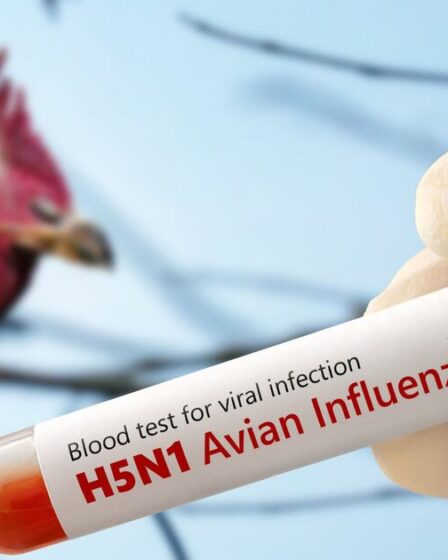 Les scientifiques émettent un avertissement alarmant comme risque de la prochaine hausse de la pandémie