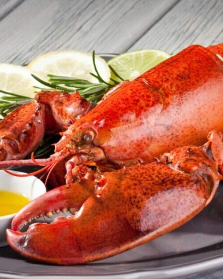 Les scientifiques exigent l'interdiction de faire bouillir les homards sur des `` preuves solides, ils ressentent de la douleur ''