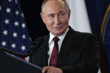 Vladimir Poutine 'Prêt à rencontrer Zelensky' dans le major Ukraine-Russia cessez-le-feu révolutionnaire