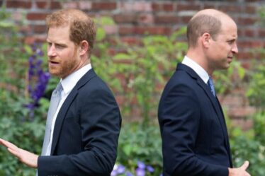 `` Vraie raison '' pour «stand» dans la guérison Royal Rift entre le prince William et le prince Harry