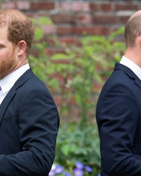 `` Vraie raison '' pour «stand» dans la guérison Royal Rift entre le prince William et le prince Harry