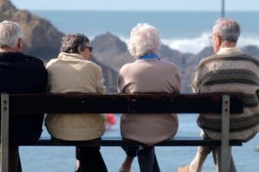 Avertissement de retraite de l'État de DWP, alors que l'ancien économiste appelle à un triple verrouillage à hacher